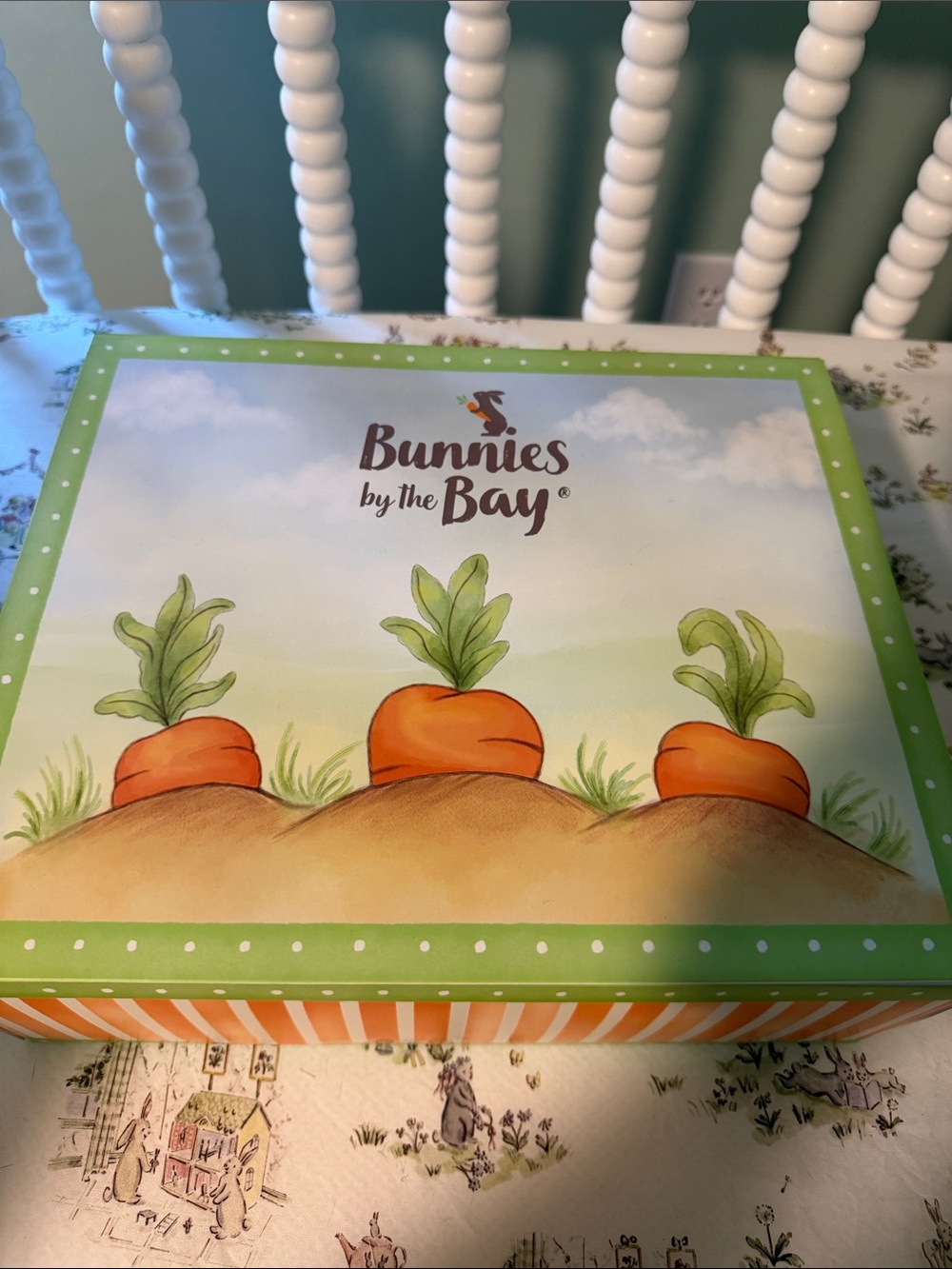 Bunnies by the Bay RETIRED piggy slippers